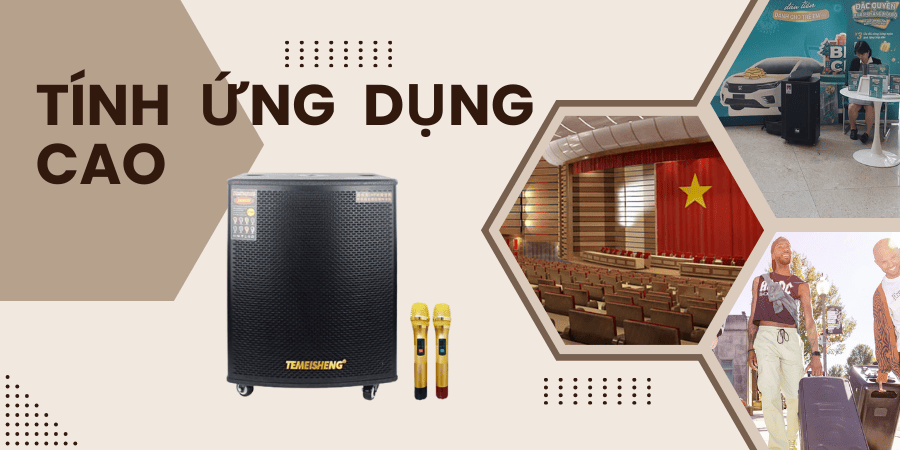 Loa Temeisheng 4 tấc sử dụng được cho nhiều hệ thống âm thanh khác nhau