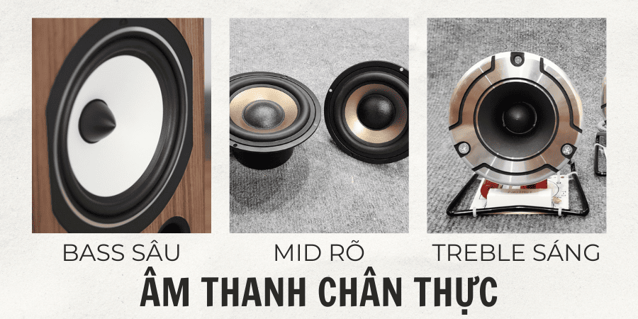 Loa nhập khẩu Pháp cho âm thanh sống động, bùng nổ