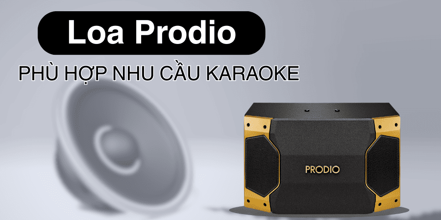 Loa Prodio là lựa chọn có giá rất hợp lý, âm khỏe, dễ dùng, rất phù hợp với những nhu cầu karaoke cơ bản