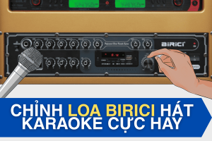 Hướng dẫn chỉnh loa Birici hát karaoke cực hay, siêu dễ
