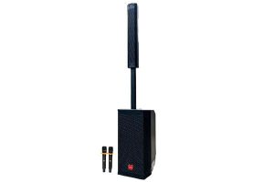 Loa column CHENCO HJ-211T