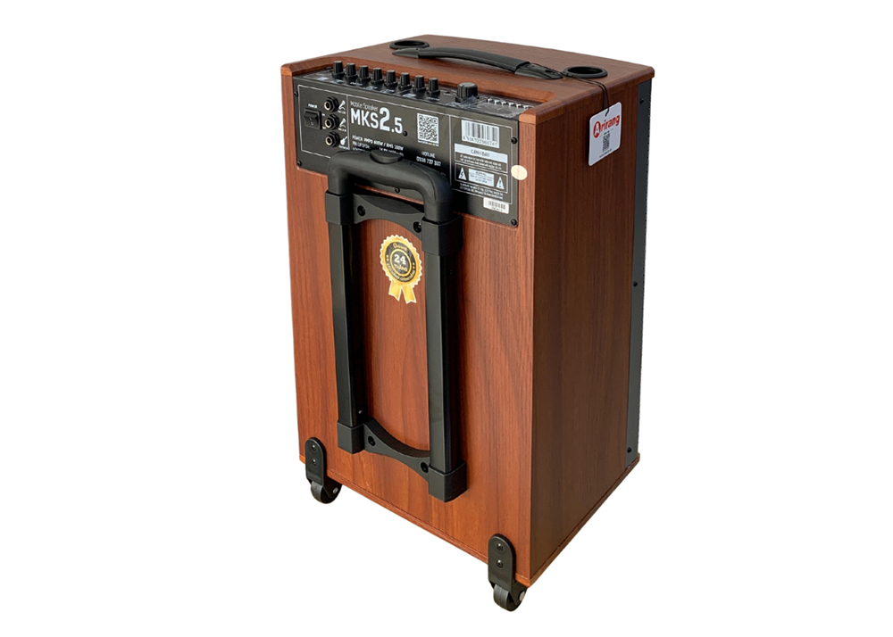 Công suất 100W RMS mạnh mẽ