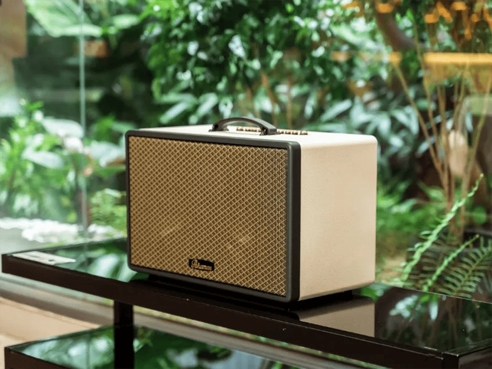 Công suất 250W đáp ứng tốt gia đình, picnic và không gian vừa