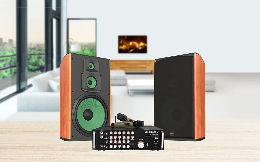 Loa Paramax Z-2000 dùng cho gia đình để nghe nhạc, hát karaoke, giải trí, xem phim